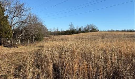 Photo #15 of 1295, 1297 & 1350 Angell, Madison, NC 24.4 acres