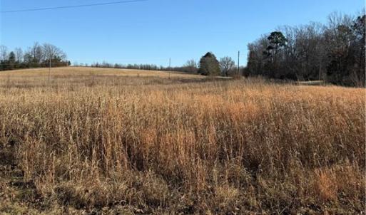 Photo #1 of 1295, 1297 & 1350 Angell, Madison, NC 24.4 acres
