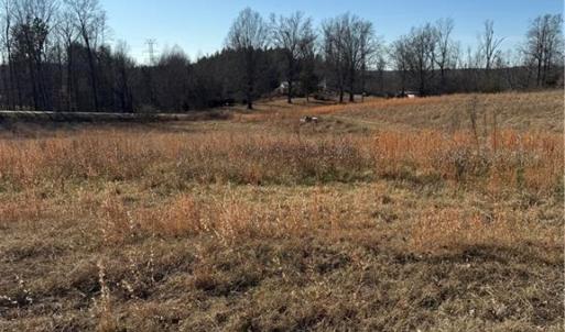 Photo #18 of 1295, 1297 & 1350 Angell, Madison, NC 24.4 acres
