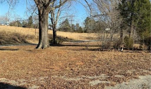 Photo #11 of 1295, 1297 & 1350 Angell, Madison, NC 24.4 acres