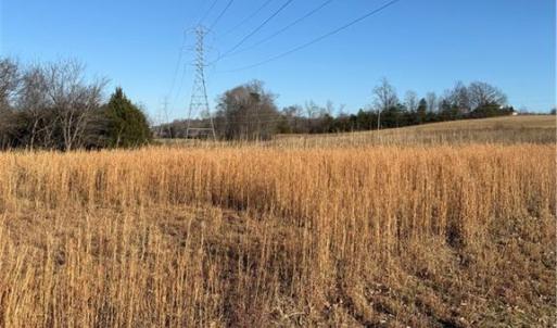 Photo #19 of 1295, 1297 & 1350 Angell, Madison, NC 24.4 acres
