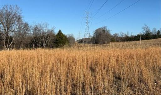 Photo #21 of 1295, 1297 & 1350 Angell, Madison, NC 24.4 acres