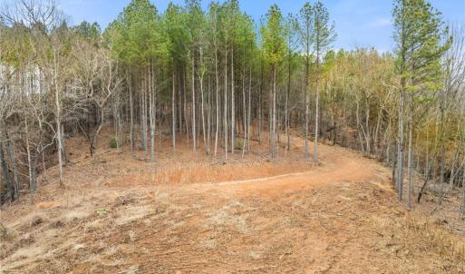 Photo #6 of Doug Stanley, Sandy Ridge, NC 33.4 acres