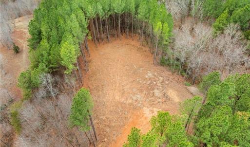 Photo #13 of Doug Stanley, Sandy Ridge, NC 33.4 acres