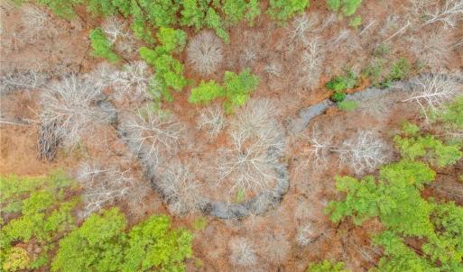 Photo #12 of Doug Stanley, Sandy Ridge, NC 33.4 acres