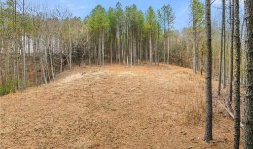 Photo #9 of Doug Stanley, Sandy Ridge, NC 33.4 acres