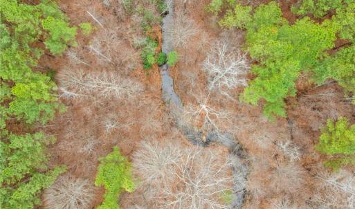 Photo #11 of Doug Stanley, Sandy Ridge, NC 33.4 acres