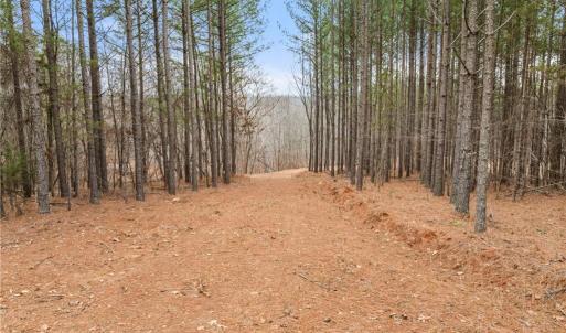 Photo #4 of Doug Stanley, Sandy Ridge, NC 33.4 acres