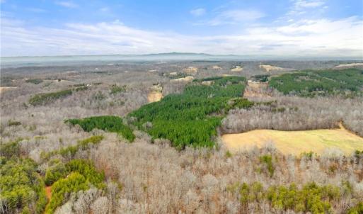 Photo #6 of Doug Stanley, Sandy Ridge, NC 33.4 acres