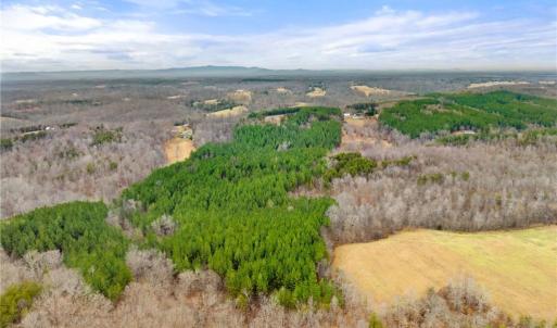 Photo #16 of Doug Stanley, Sandy Ridge, NC 33.4 acres