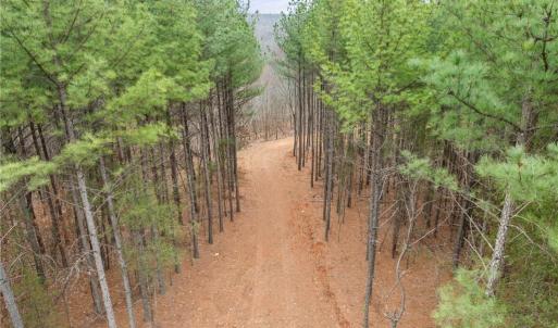 Photo #3 of Doug Stanley, Sandy Ridge, NC 33.4 acres