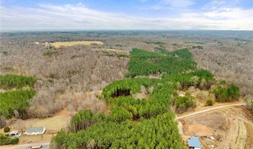Photo #15 of Doug Stanley, Sandy Ridge, NC 33.4 acres