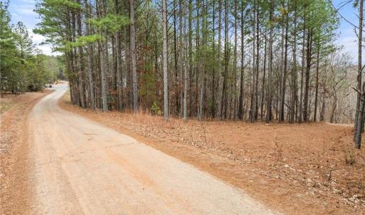 Photo #4 of Doug Stanley, Sandy Ridge, NC 33.4 acres