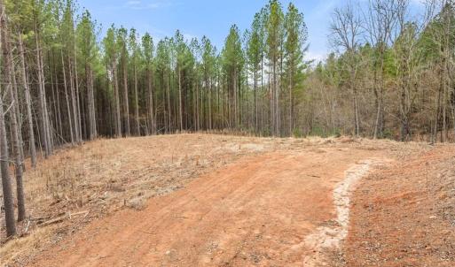 Photo #8 of Doug Stanley, Sandy Ridge, NC 33.4 acres