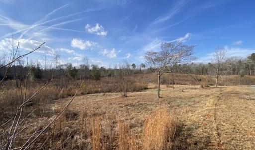 Photo #2 of Johnny Shaw, Moncure, NC 10.1 acres