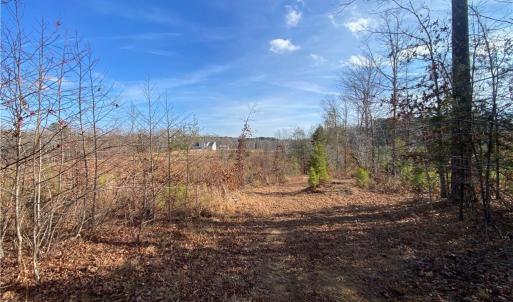Photo #3 of Johnny Shaw, Moncure, NC 10.1 acres