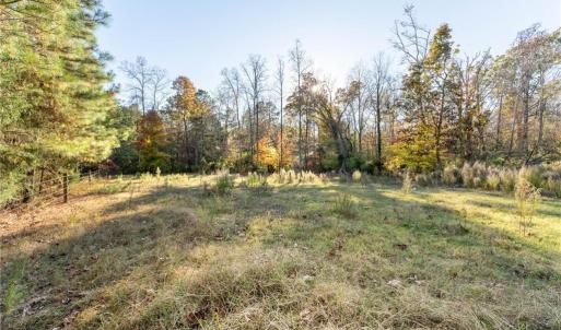 Photo #11 of 120 Brookberry, Jamestown, NC 7.9 acres