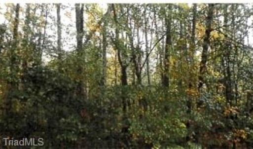 Photo #1 of Morning Star, Winston-Salem, NC 4.1 acres