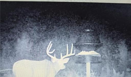 Photo #24 of 8383 Nc Highway 14, Eden, NC 18.0 acres