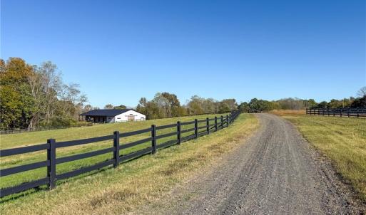 Photo #5 of 979 Perkinson, Ruffin, NC 56.6 acres