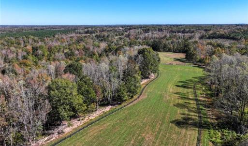 Photo #18 of 979 Perkinson, Ruffin, NC 56.6 acres