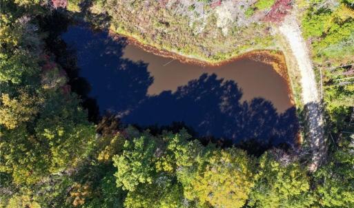 Photo #37 of 979 Perkinson, Ruffin, NC 56.6 acres