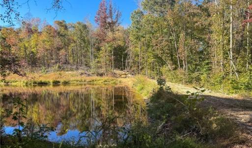 Photo #35 of 979 Perkinson, Ruffin, NC 56.6 acres