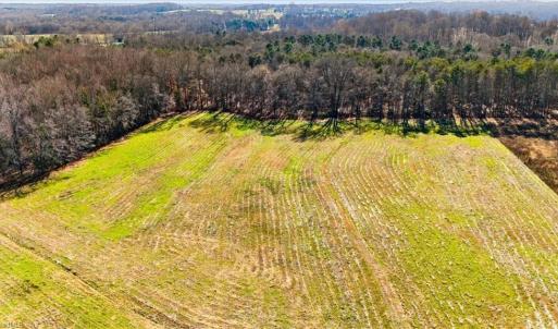 Photo #11 of 28 acres Angell, Mocksville, NC 28.3 acres