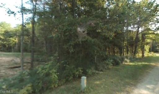 Photo #2 of Red Fern, Mocksville, NC 10.5 acres
