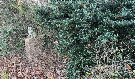 Photo #2 of 2136 and 0 Vienna Dozier, Pfafftown, NC 1.5 acres