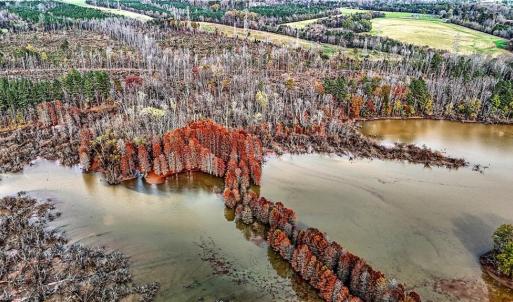 Photo #22 of Lake Fork, Salisbury, NC 336.8 acres