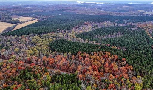 Photo #3 of Panther Creek, Salisbury, NC 132.3 acres