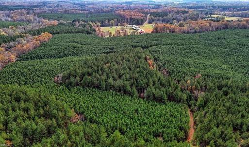 Photo #8 of 02 Highway 49, Richfield, NC 617.2 acres