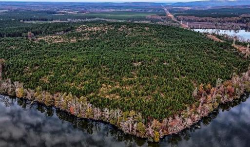 Photo #6 of 01 Stokes Ferry, Richfield, NC 714.1 acres