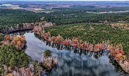 Photo #7 of 01 Stokes Ferry, Richfield, NC 714.1 acres