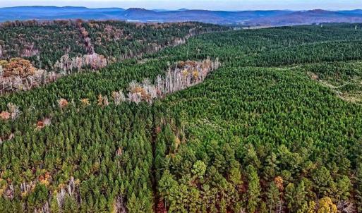 Photo #2 of Stokes Ferry, Richfield, NC 769.3 acres