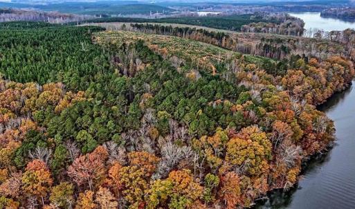 Photo #7 of Stokes Ferry, Richfield, NC 769.3 acres