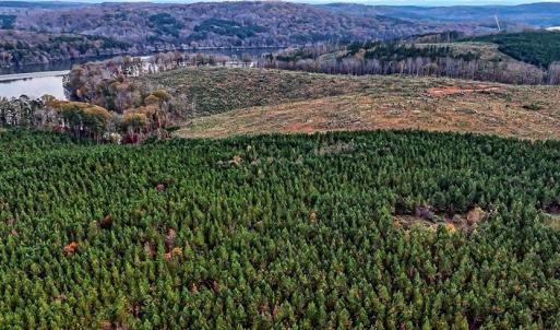 Photo #10 of Stokes Ferry, Richfield, NC 769.3 acres