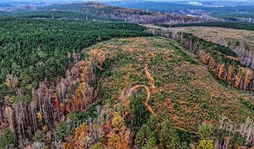 Photo #8 of Stokes Ferry, Richfield, NC 769.3 acres