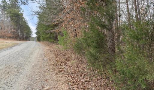 Photo #6 of 8011 Homestead Farm, Belews Creek, NC 2.8 acres