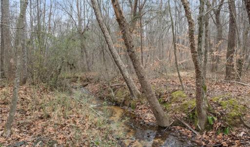 Photo #3 of 8011 Homestead Farm, Belews Creek, NC 2.8 acres