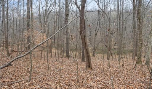 Photo #5 of 8011 Homestead Farm, Belews Creek, NC 2.8 acres