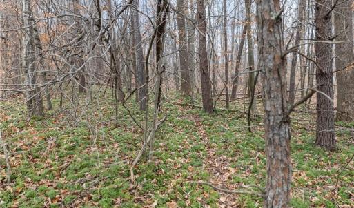 Photo #4 of 8011 Homestead Farm, Belews Creek, NC 2.8 acres