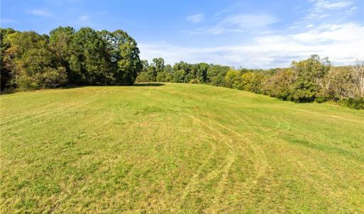 Photo #4 of 8112 Hilltop Farms, Lewisville, NC 2.8 acres