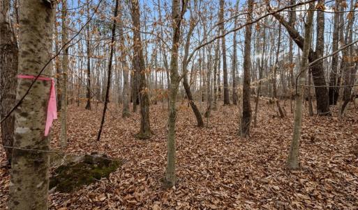 Photo #9 of 10.75 ACRES NEALS STORE, Roxboro, NC 10.8 acres