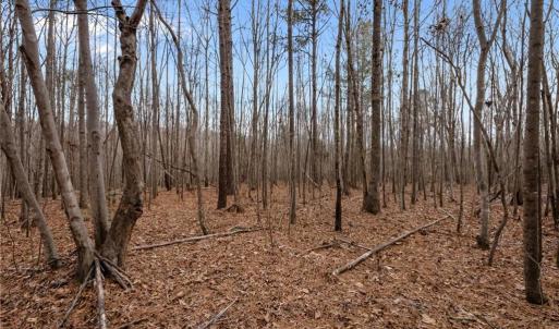 Photo #10 of 10.75 ACRES NEALS STORE, Roxboro, NC 10.8 acres