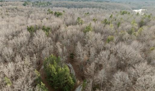 Photo #12 of 10.75 ACRES NEALS STORE, Roxboro, NC 10.8 acres