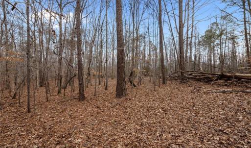 Photo #6 of 10.75 ACRES NEALS STORE, Roxboro, NC 10.8 acres