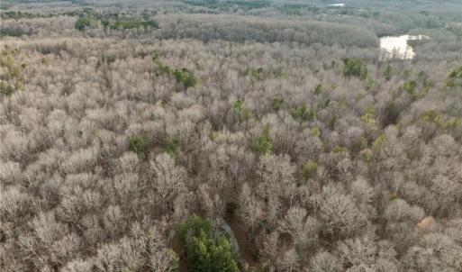 Photo #14 of 10.75 ACRES NEALS STORE, Roxboro, NC 10.8 acres