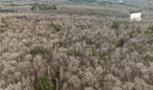 Photo #15 of 10.75 ACRES NEALS STORE, Roxboro, NC 10.8 acres